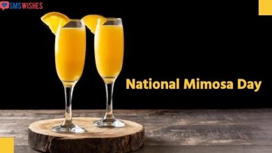 Photo of National Mimosa Day Quotes, Messages, Wishes, Images